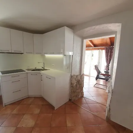 Istrska Kamnita Hisa Soncni Holiday home