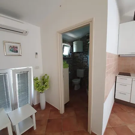Istrska Kamnita Hisa Soncni Holiday home